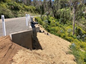 upper brogo rd embankment 1